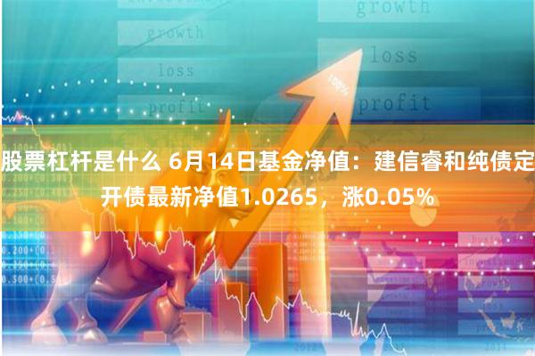 股票杠杆是什么 6月14日基金净值：建信睿和纯债定开债最新净值1.0265，涨0.05%