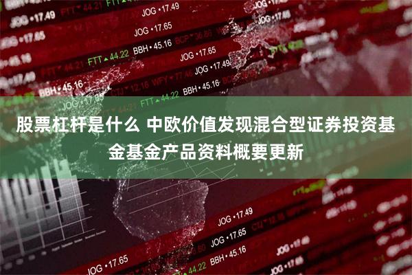 股票杠杆是什么 中欧价值发现混合型证券投资基金基金产品资料概要更新