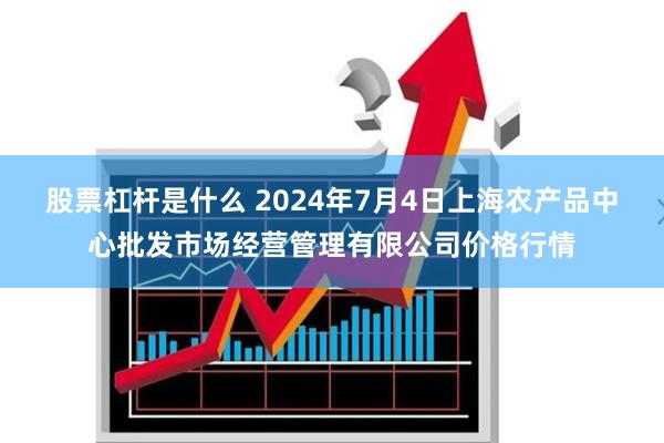 股票杠杆是什么 2024年7月4日上海农产品中心批发市场经营管理有限公司价格行情