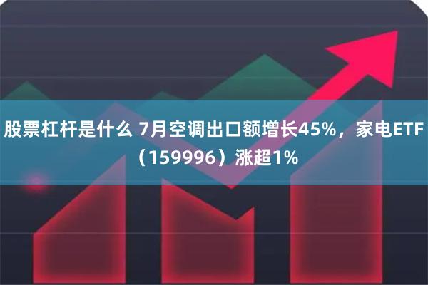 股票杠杆是什么 7月空调出口额增长45%，家电ETF（159996）涨超1%