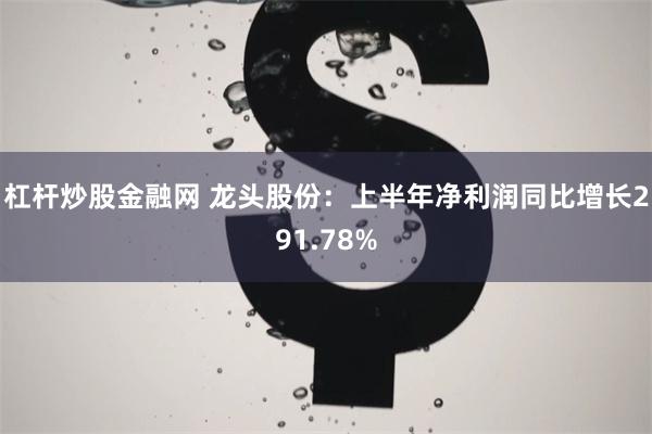 杠杆炒股金融网 龙头股份：上半年净利润同比增长291.78%