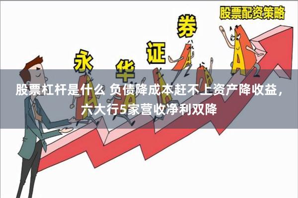 股票杠杆是什么 负债降成本赶不上资产降收益，六大行5家营收净利双降